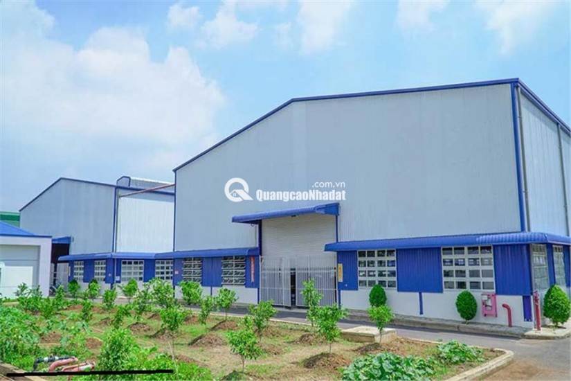 TAICAL GIÁ RẺ (TAICAL.VN)  - CHO THUÊ XƯỞNG NHỰA NHÀ MÁY NHỰA CỦ CHI BÌNH DƯƠNG 10000M2 GIÁ RẺ